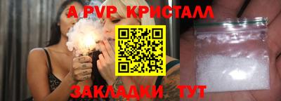скорость Кингисепп