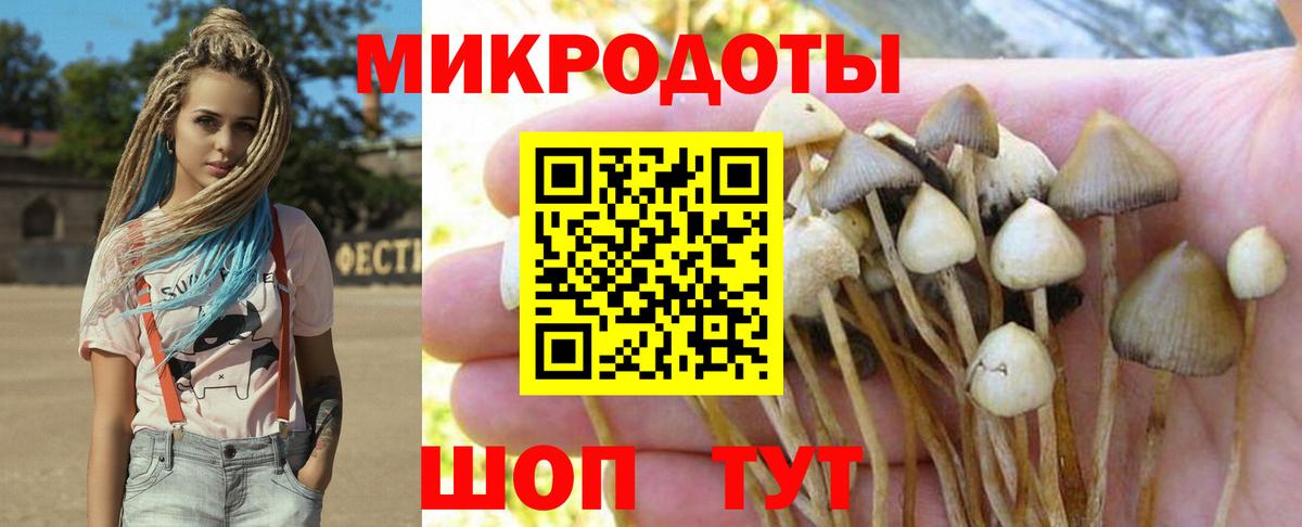 Псилоцибиновые грибы мухоморы Биробиджан